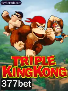 Explorando o Mundo de TripleKingKong: Um Novo Fenômeno no 377bet
